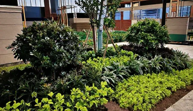 庭院造景:苗木养护要点与维护建议